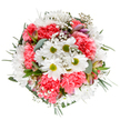This bouquet is a spirited reflection of Collier Row's warmth and blossoming community life. Arranged with care and captured in striking overhead light, the composition brings together radiant white daisies with green centers and plush coral-pink carnations, their ruffles conveying softness and exuberance. Delicate sprigs of baby's breath wind through the arrangement, simulating the gentle movement of wind over Collier Row's open spaces, while slender eucalyptus and deeper greenery provide grounding and elegance. Hidden among the foliage, a few alstroemeria buds-subtly streaked with mauve and deep pink-hint at future days filled with beauty and surprise. Every element, from petal to leaf, is chosen for balance and visual appeal, creating a bouquet that feels both tranquil and uplifting. Suited for any celebration, whether a birthday, anniversary, or a thoughtful 'thinking of you' gift, this bouquet reflects the attentive skill and friendly neighbourhood spirit Collier Row is known for. Finished with fresh, lasting blooms, it's ready to bring joy to households and workplaces throughout the area, beautifully embodying the care of local florists.