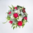 Viewed from above against a pure white background, this lavish round bouquet glows with joyful colour, as if it has just been set down on a bright kitchen table in Collier Row. At its heart, large hot pink carnations billow with ruffled, velvety petals, each bloom densely layered to create a sense of soft volume and movement. Nestled between them are deep pink and fuchsia roses, some fully open with perfectly spiralled centres, others still in tight, promising buds that suggest more beauty to come over the next few days. Threaded through the pinks are clusters of tiny white spray chrysanthemums, each daisy-like flower forming a small cushion of petals that lightens the design. Wisps of white baby's breath drift delicately through the bouquet, like little clouds of froth that soften every edge. A few slender white buds, reminiscent of alstroemeria or lily blooms, peek out elegantly, adding a gentle, refined touch. All of this colour sits on a lush bed of greenery: rounded, silvery eucalyptus leaves with a cool, matte finish mingle with longer, bright green blades of foliage. Around the outer rim, wider, darker green leaves are folded and shaped into a neat collar, giving the bouquet a polished, professional frame. The lighting is clean and even, making every shade of pink, white, and green appear crisp and true. The overall impression is fresh, cheerful, and warmly affectionate, like a hand-tied surprise delivered to a doorstep off Collier Row Lane to celebrate a birthday, say congratulations, or simply lift someone's spirits after a long week.